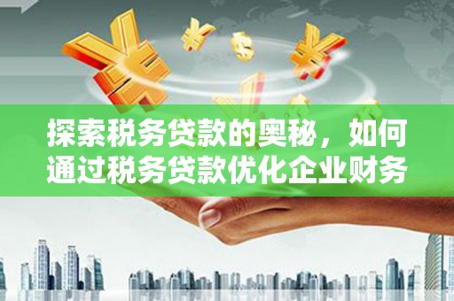静海探索税务贷款的奥秘，如何通过税务贷款优化企业财务