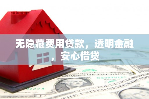 静海无隐藏费用贷款，透明金融，安心借贷