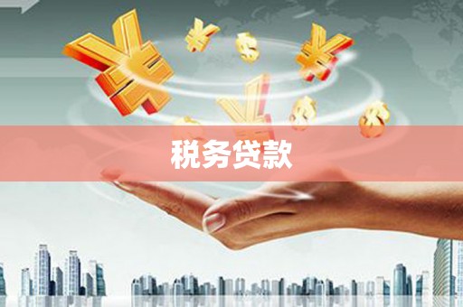 静海税务贷款
