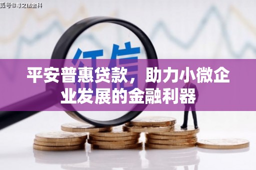 静海平安普惠贷款，助力小微企业发展的金融利器