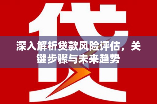 静海深入解析贷款风险评估，关键步骤与未来趋势