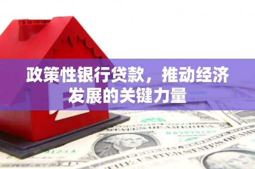 静海政策性银行贷款，推动经济发展的关键力量