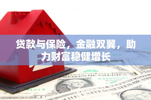 静海贷款与保险，金融双翼，助力财富稳健增长
