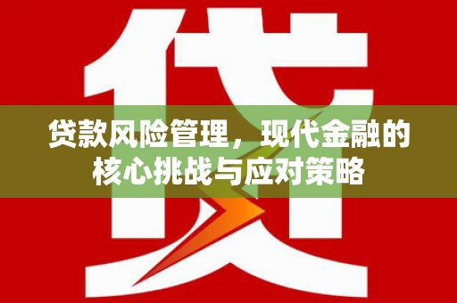 静海贷款风险管理，现代金融的核心挑战与应对策略