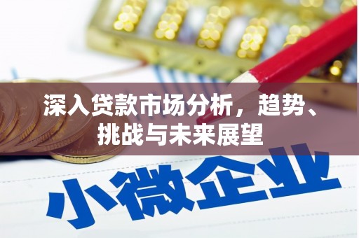 静海深入贷款市场分析，趋势、挑战与未来展望