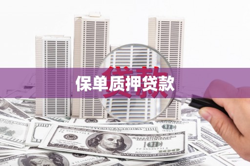 静海保单质押贷款