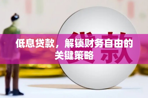静海低息贷款，解锁财务自由的关键策略