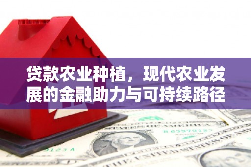 静海贷款农业种植，现代农业发展的金融助力与可持续路径