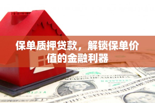 静海保单质押贷款，解锁保单价值的金融利器