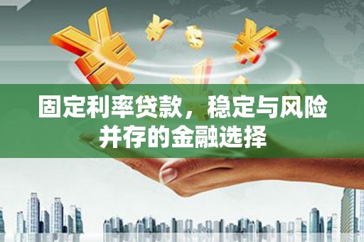 静海固定利率贷款，稳定与风险并存的金融选择