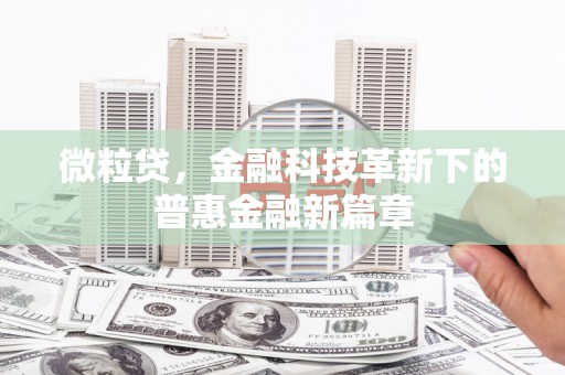 静海微粒贷，金融科技革新下的普惠金融新篇章