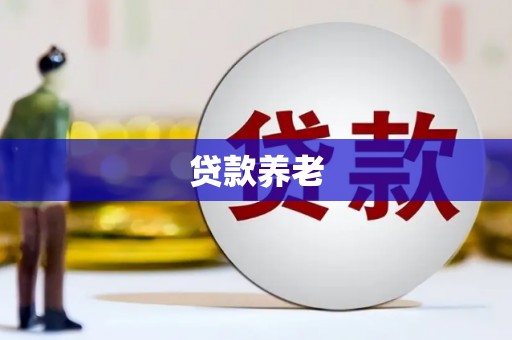 静海贷款养老