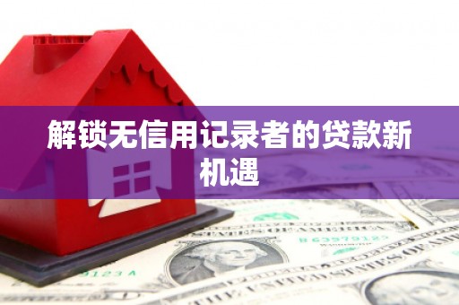 静海解锁无信用记录者的贷款新机遇