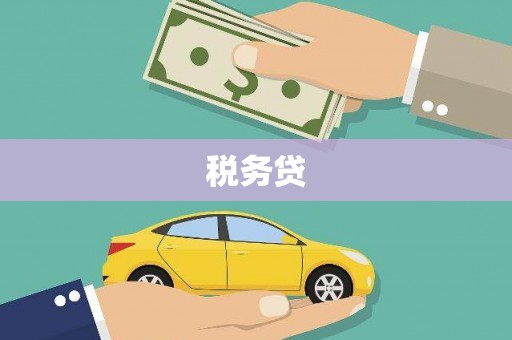 静海税务贷