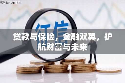静海贷款与保险，金融双翼，护航财富与未来
