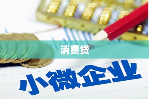 静海消费贷