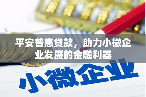 静海平安普惠贷款，助力小微企业发展的金融利器