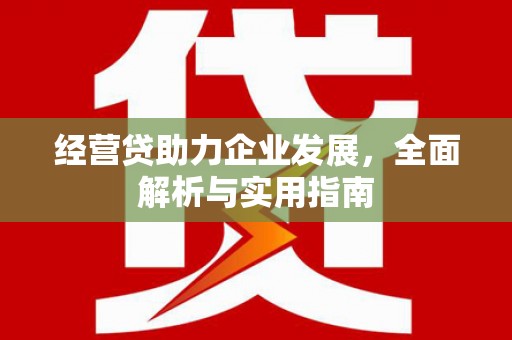 静海经营贷助力企业发展，全面解析与实用指南