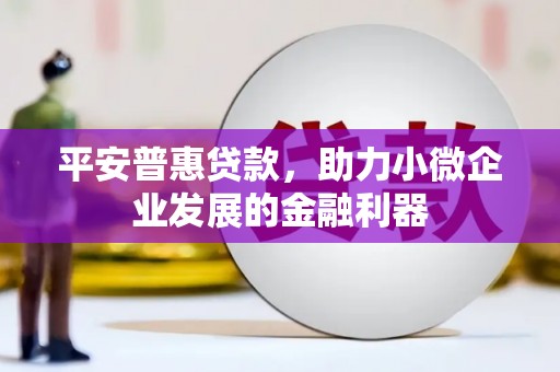 静海平安普惠贷款，助力小微企业发展的金融利器