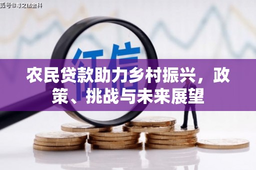 静海农民贷款助力乡村振兴，政策、挑战与未来展望