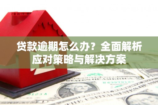 静海贷款逾期怎么办？全面解析应对策略与解决方案