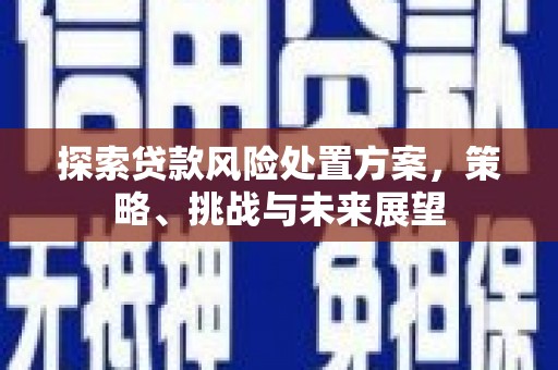 静海探索贷款风险处置方案，策略、挑战与未来展望
