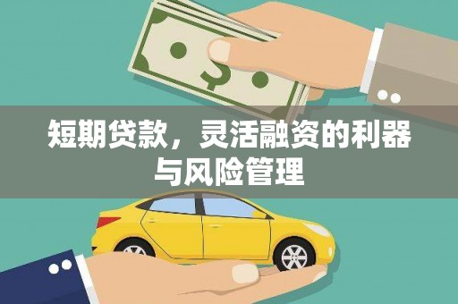 静海短期贷款，灵活融资的利器与风险管理