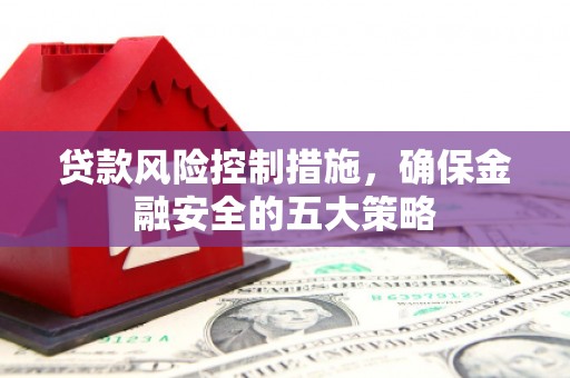 静海贷款风险控制措施，确保金融安全的五大策略
