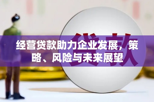 静海经营贷款助力企业发展，策略、风险与未来展望