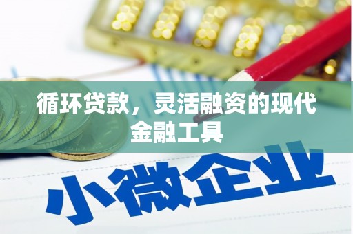 静海循环贷款，灵活融资的现代金融工具