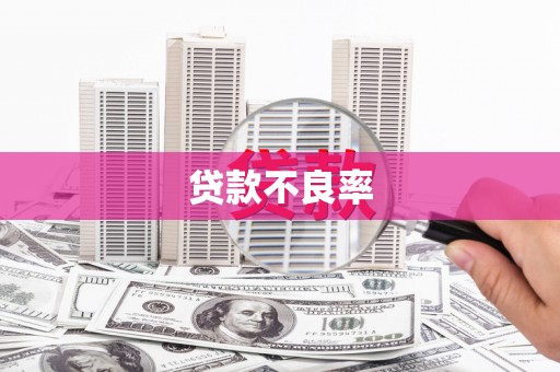 静海贷款不良率