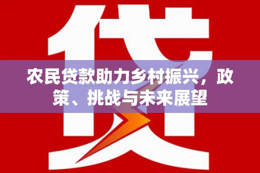 静海农民贷款助力乡村振兴，政策、挑战与未来展望
