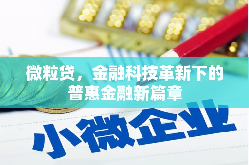 静海微粒贷，金融科技革新下的普惠金融新篇章