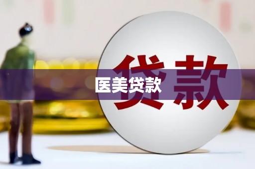 静海医美贷款