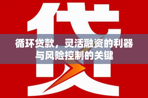 静海循环贷款，灵活融资的利器与风险控制的关键