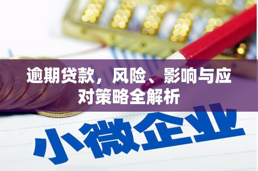 静海逾期贷款，风险、影响与应对策略全解析