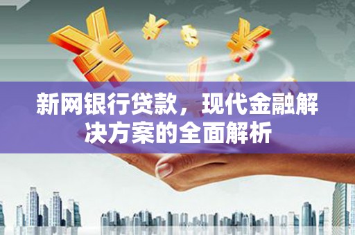 静海新网银行贷款，现代金融解决方案的全面解析