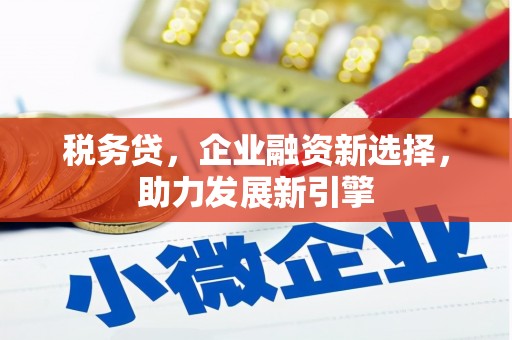 静海税务贷，企业融资新选择，助力发展新引擎