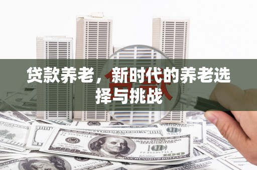 静海贷款养老，新时代的养老选择与挑战