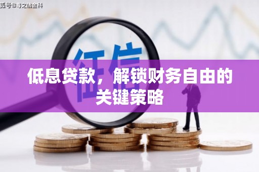 静海低息贷款，解锁财务自由的关键策略