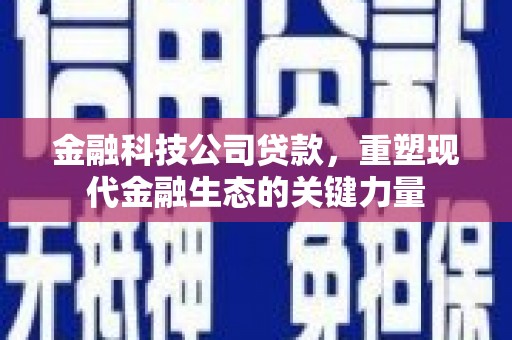 静海金融科技公司贷款，重塑现代金融生态的关键力量