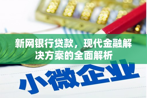 静海新网银行贷款，现代金融解决方案的全面解析