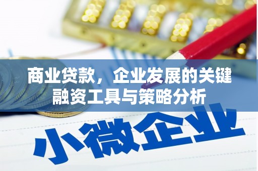 静海商业贷款，企业发展的关键融资工具与策略分析