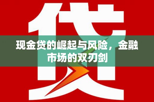 静海现金贷的崛起与风险，金融市场的双刃剑