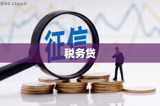 静海税务贷