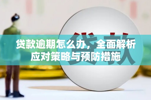 静海贷款逾期怎么办，全面解析应对策略与预防措施