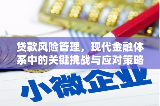 静海贷款风险管理，现代金融体系中的关键挑战与应对策略