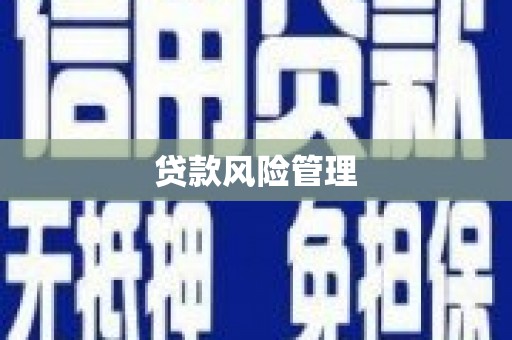 静海贷款风险管理