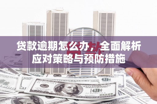 静海贷款逾期怎么办，全面解析应对策略与预防措施