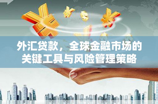 静海外汇贷款，全球金融市场的关键工具与风险管理策略